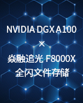 匹配 NVIDIA DGX A100计算系统 全闪存储解决方案白皮书